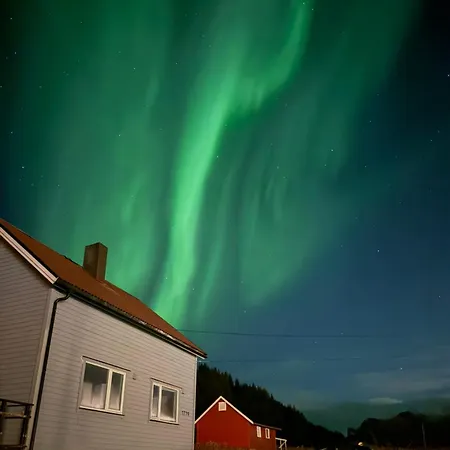 Nordlys Skaland *