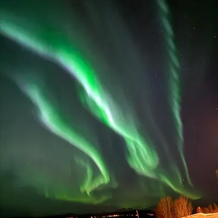Nordlys Skaland Senja