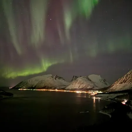 Nordlys Skaland *